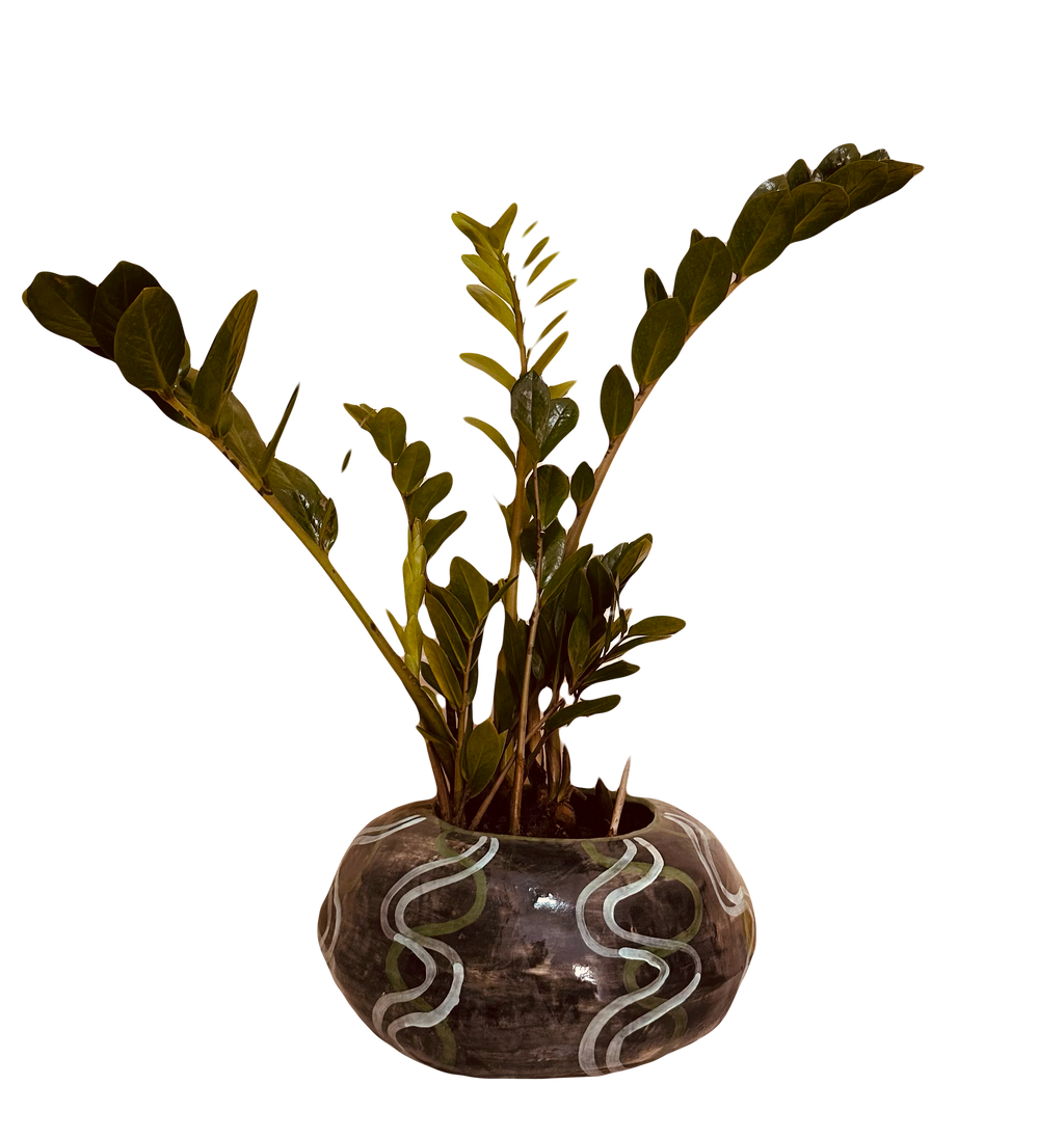 Florero chatón