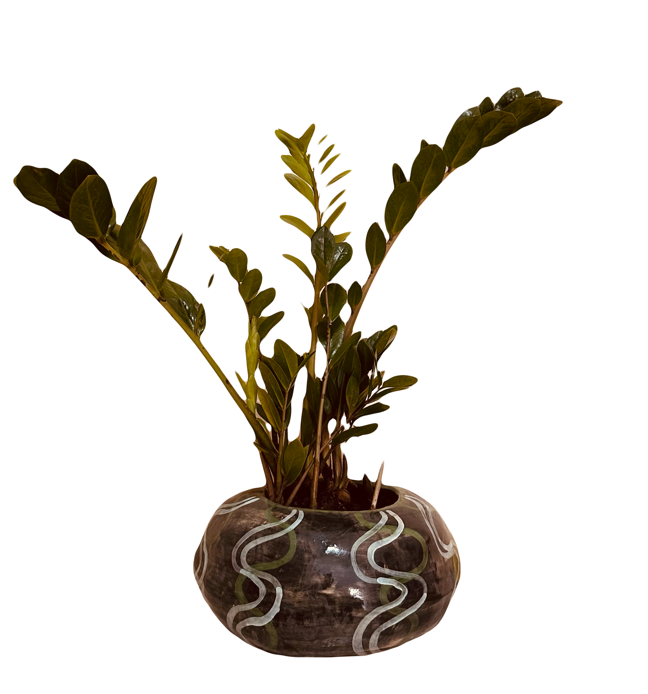 Florero chatón