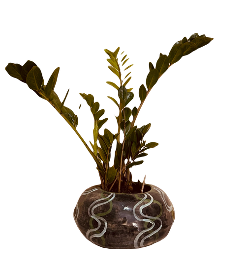 Florero chatón