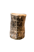 florero Goya